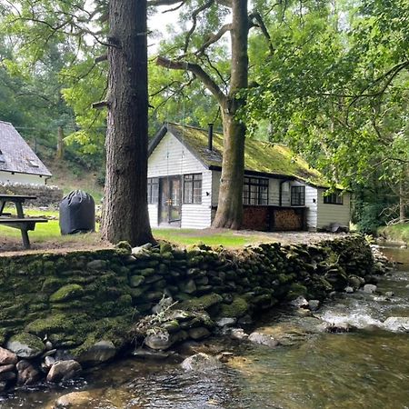 Cuckoo Cabin, Tyn Y Cwm Eglwys-Fach 외부 사진