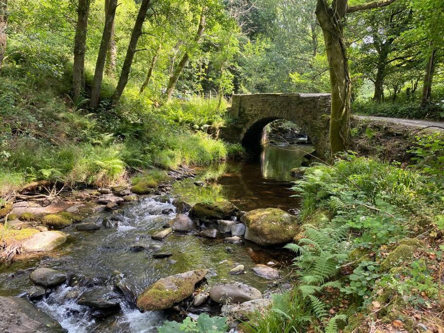 Cuckoo Cabin, Tyn Y Cwm Eglwys-Fach 외부 사진
